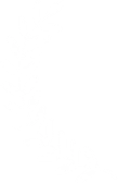 a1-vector-1.webp