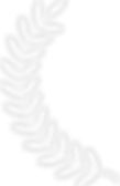 a1-vector-1.webp