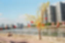 0015_16.jpg