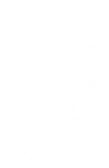 a1-vector-2.webp