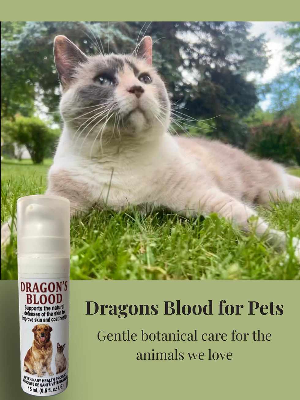 Thumbnail: Dragon’s Blood for Cats & Dogs