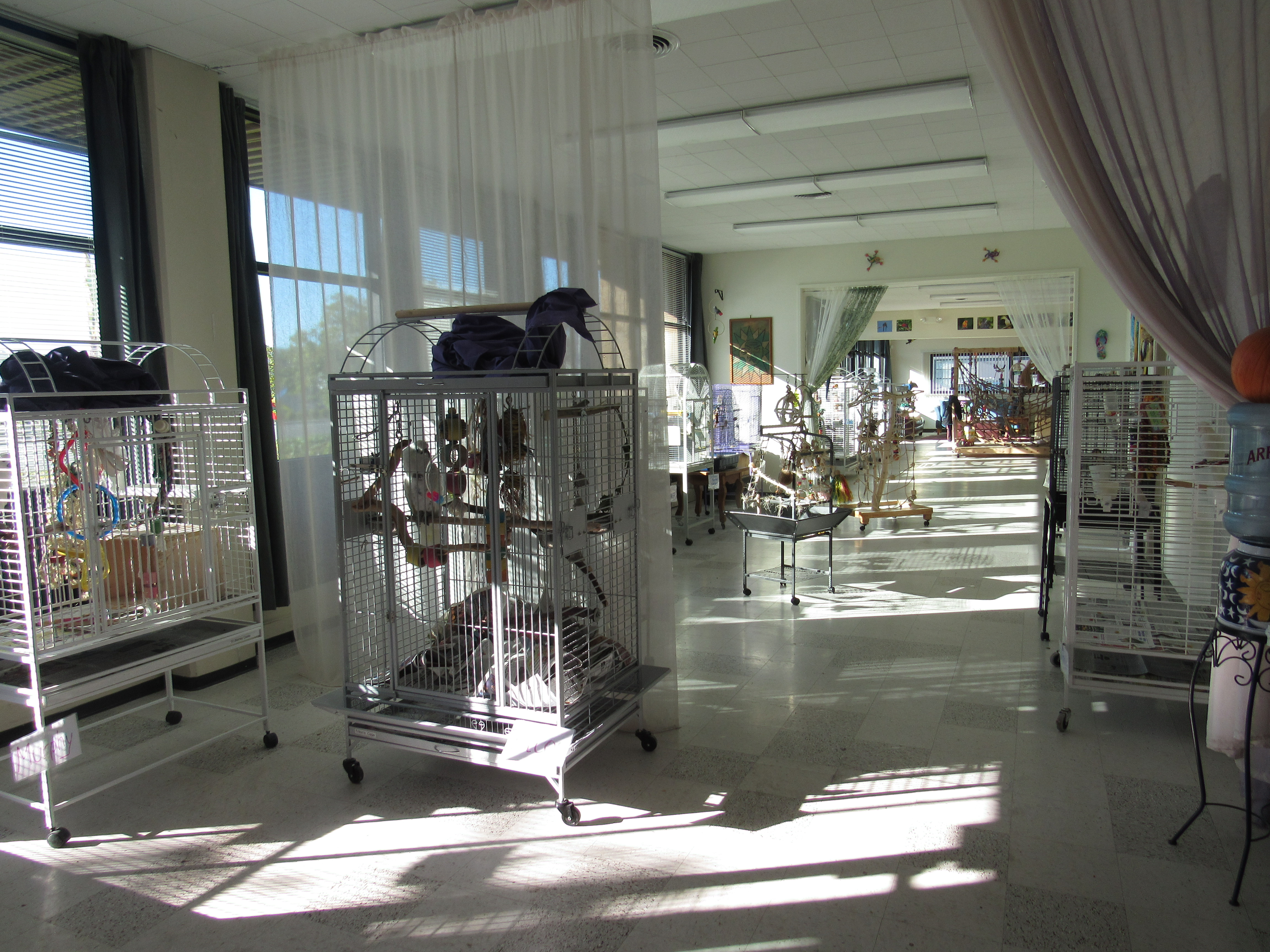 San Francisco Bird Hotel