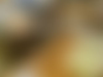 梅干し作り
