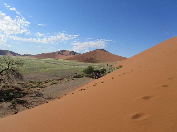 Namibia 2 846 (1).JPG