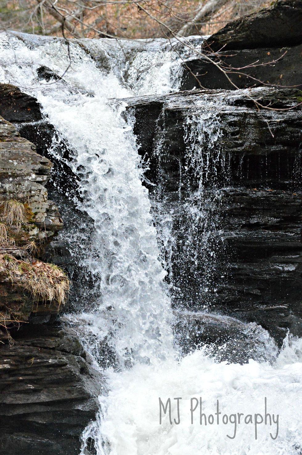 Ricketts Glenn State Park 4