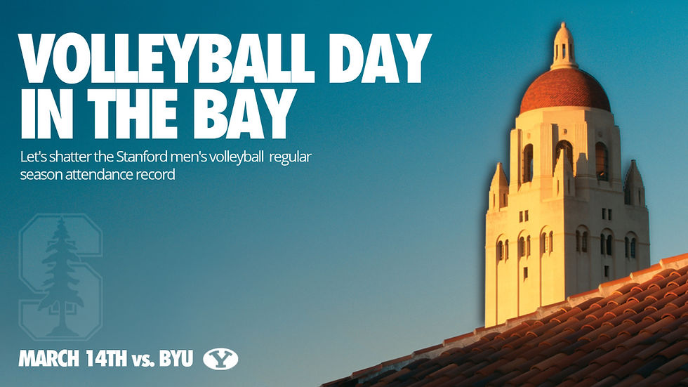 Volleyball Day in the Bay