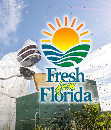 Fresh From Florida
