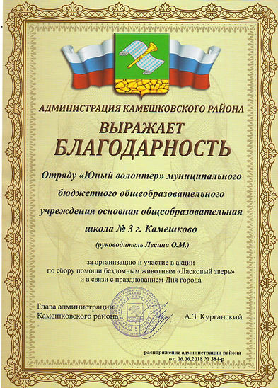 Благодарность волонт отряду и Лесиной О.