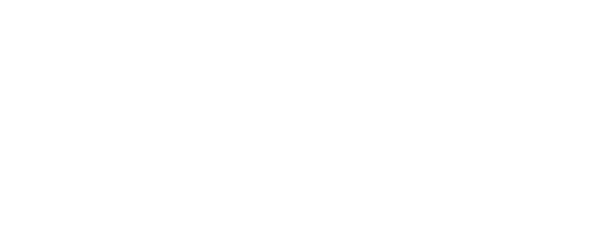 Asset 6.png