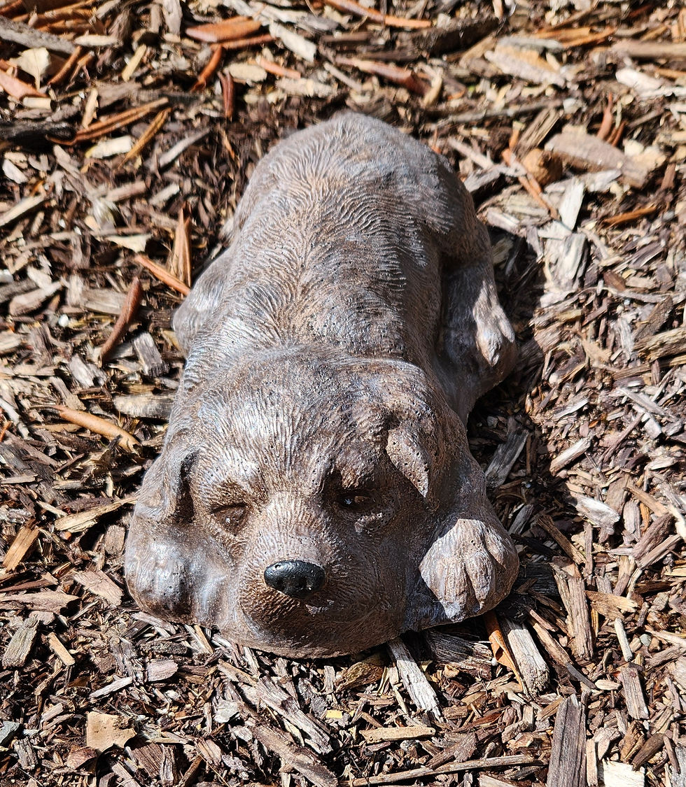 Thumbnail: Dog Statue