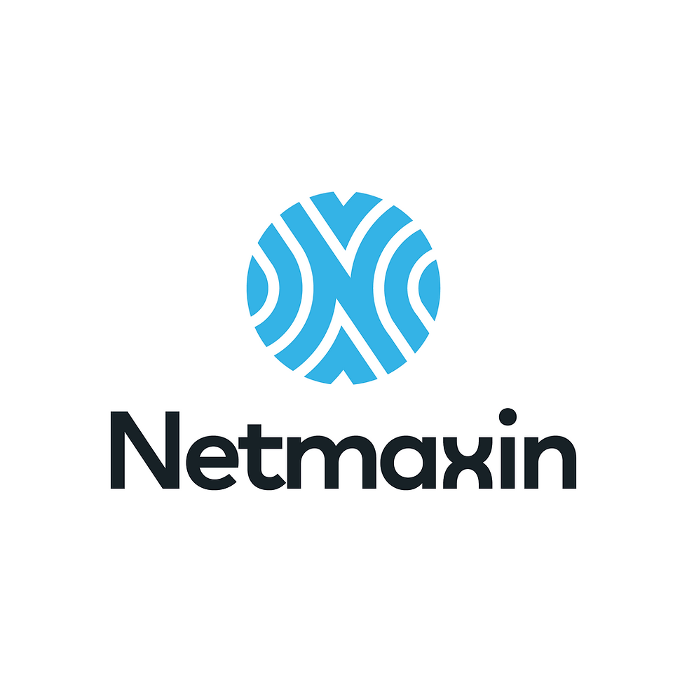 Netmaxin Introduces Its New Brand Identity with the Launch of a Globally Inspired Logo