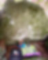 3E934193-1E43-4908-9E17-ABA84934BE4B.JPG