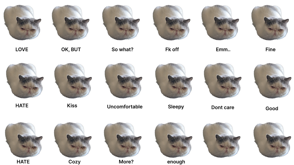 Cat mood inside of people's thinking