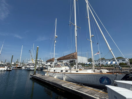 Standing Before the Mast Podcast: Sail Beyond Cancer with Suzanne Snyder