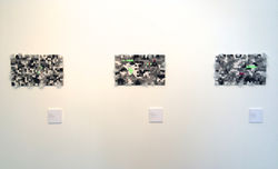 Fuzzy Glitch (B+W 1-3), 2015