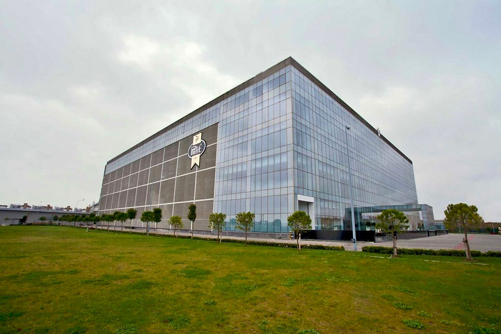 01.jpg