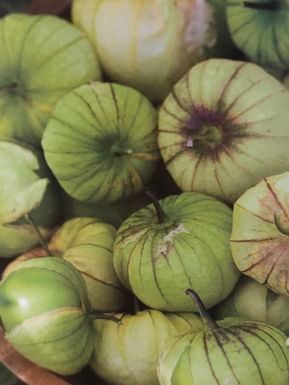 Tomatillo 