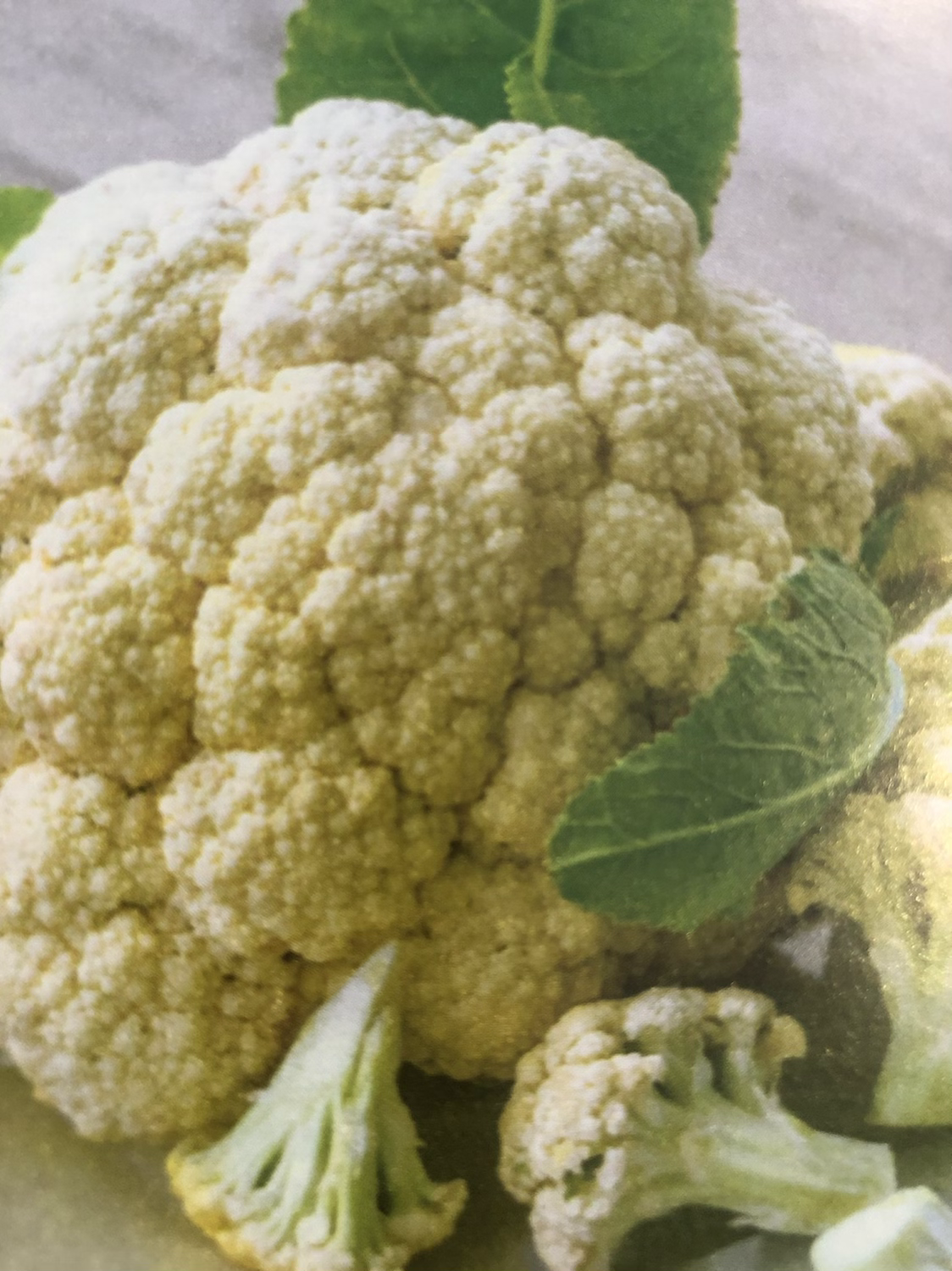 Early Snowball Cauliflower 