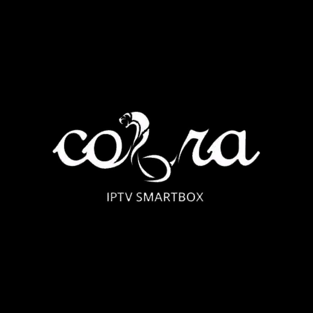 QA Tester Position Official Team Cobra