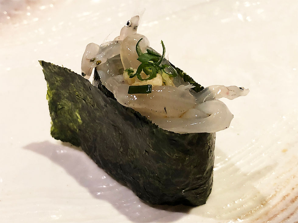 sushi_shirauo_004_1000_750