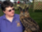 chrissies owls3