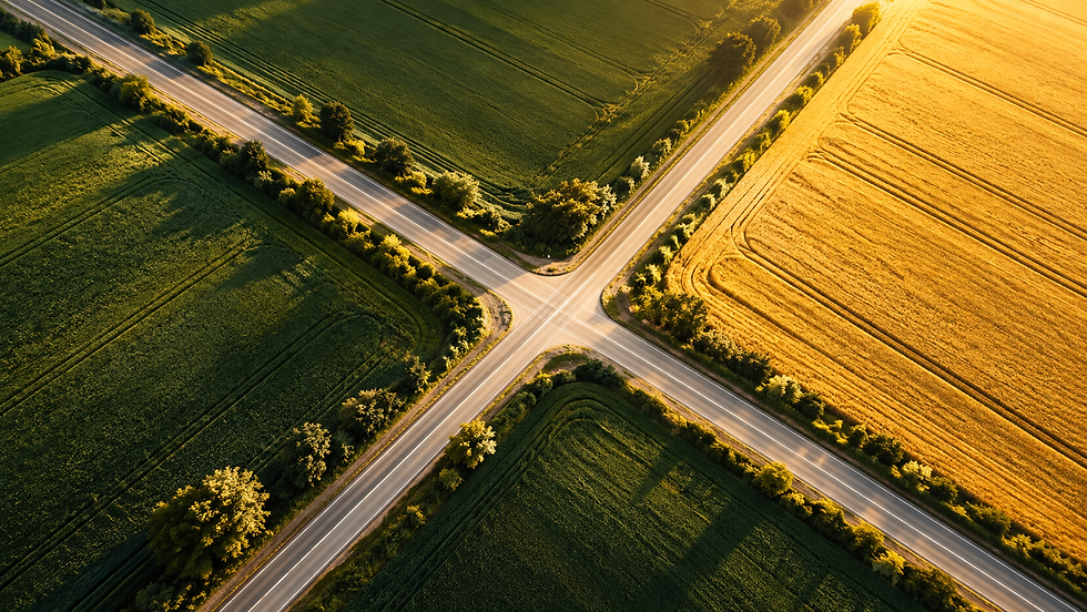 Luftaufnahme einer Straßenkreuzung zwischen grünen Feldern und goldenem Getreide im Abendlicht. Vier Wege treffen in einer ländlichen Region aufeinander.