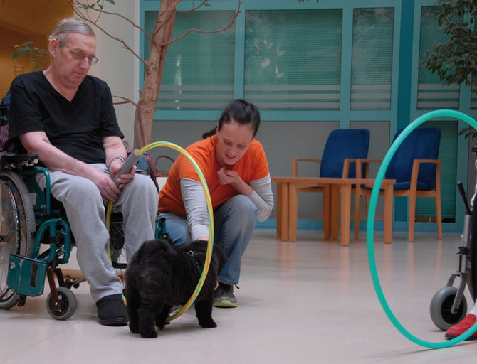 Hunde sind Therapeuten! - Die tiergestütze Therapie des Hünfeldener Vereins Therapeuten auf vier Pfo