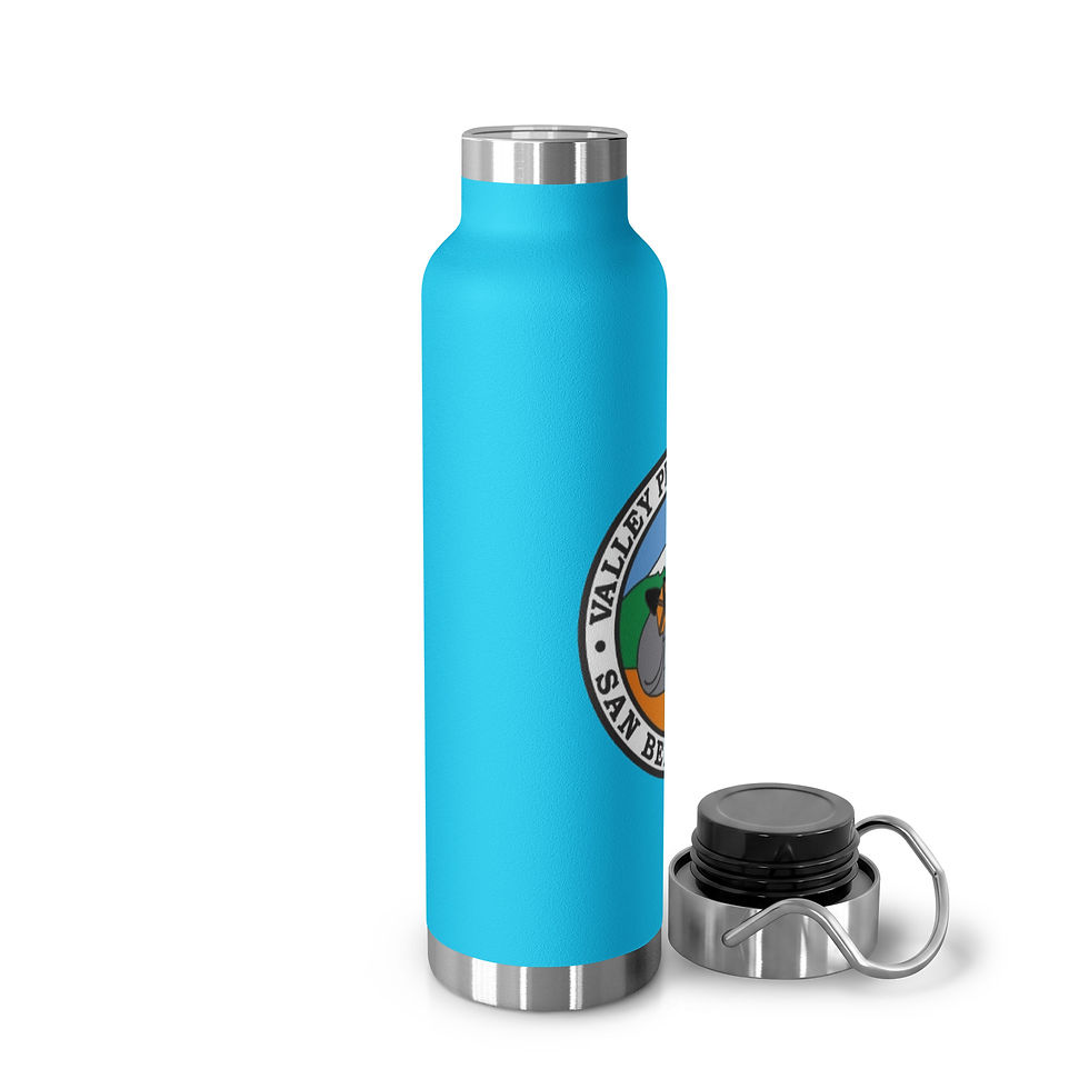 Thumbnail: VP Color Logo Copper Vacuum Insulated Bottle