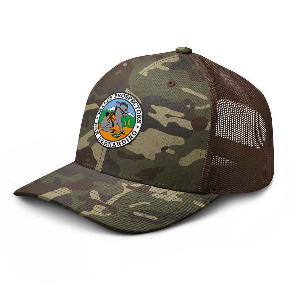 Thumbnail: VP Color Logo Camouflage trucker hat