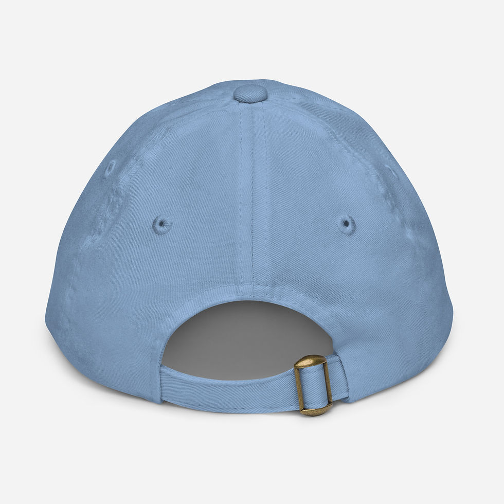 Thumbnail: VP Youth baseball cap