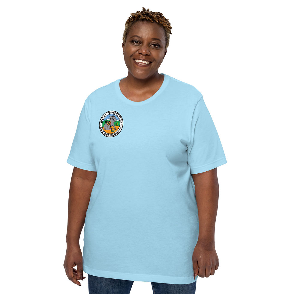 Thumbnail: VP Color Logo Unisex t-shirt