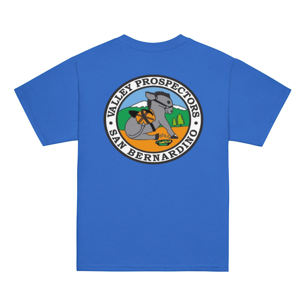 Thumbnail: VP Color Logo Youth classic tee