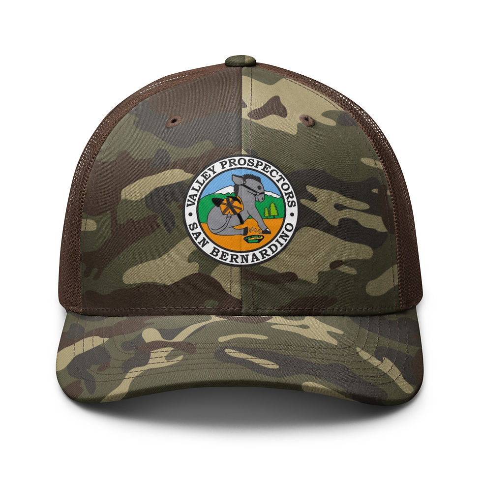 Thumbnail: VP Color Logo Camouflage trucker hat