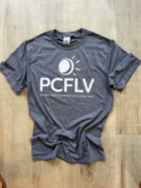 Adult Gray Crewneck T-Shirt