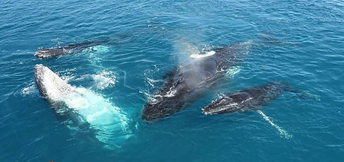 walkin srilanka tours