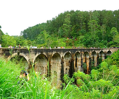 walkin srilanka tours