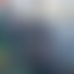 Ein Update von PrimePrevention