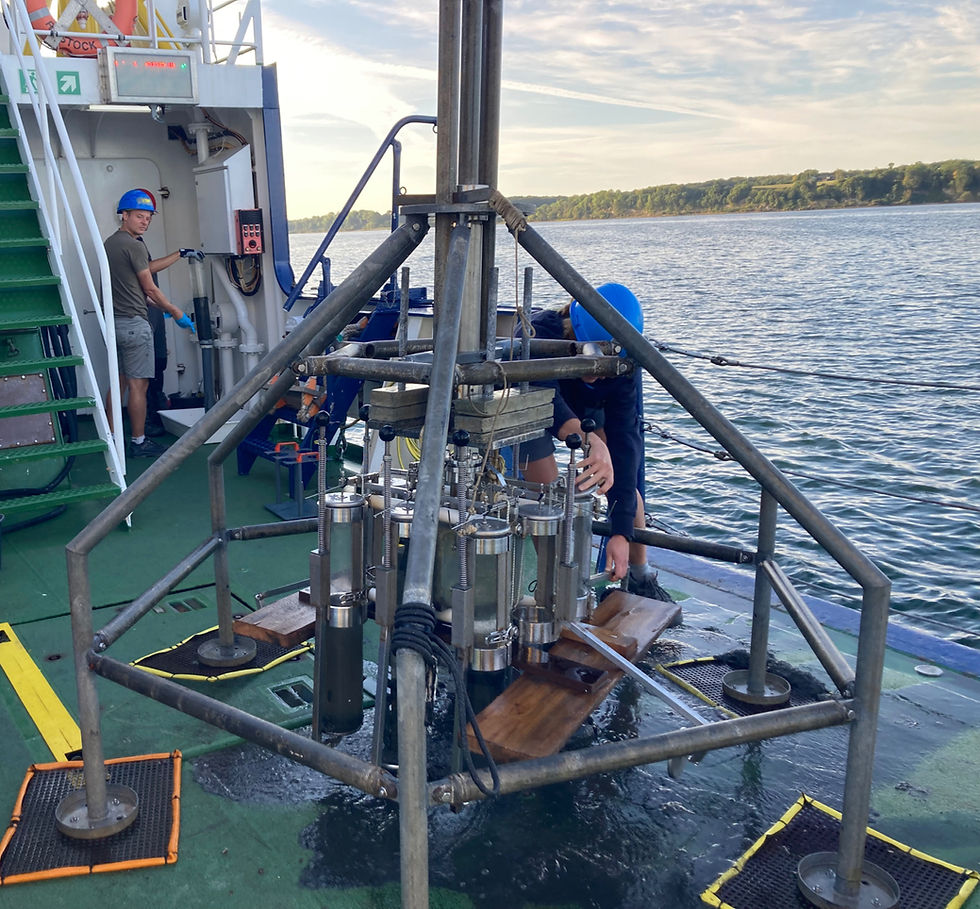 Ein Update von PrimePrevention