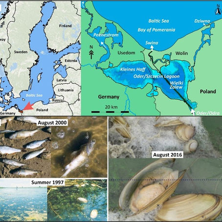 Extremer Sauerstoffmangel und Nährstofffreisetzung in Küstengewässern: Neue Erkenntnisse und Umweltbeobachtungsstrategien