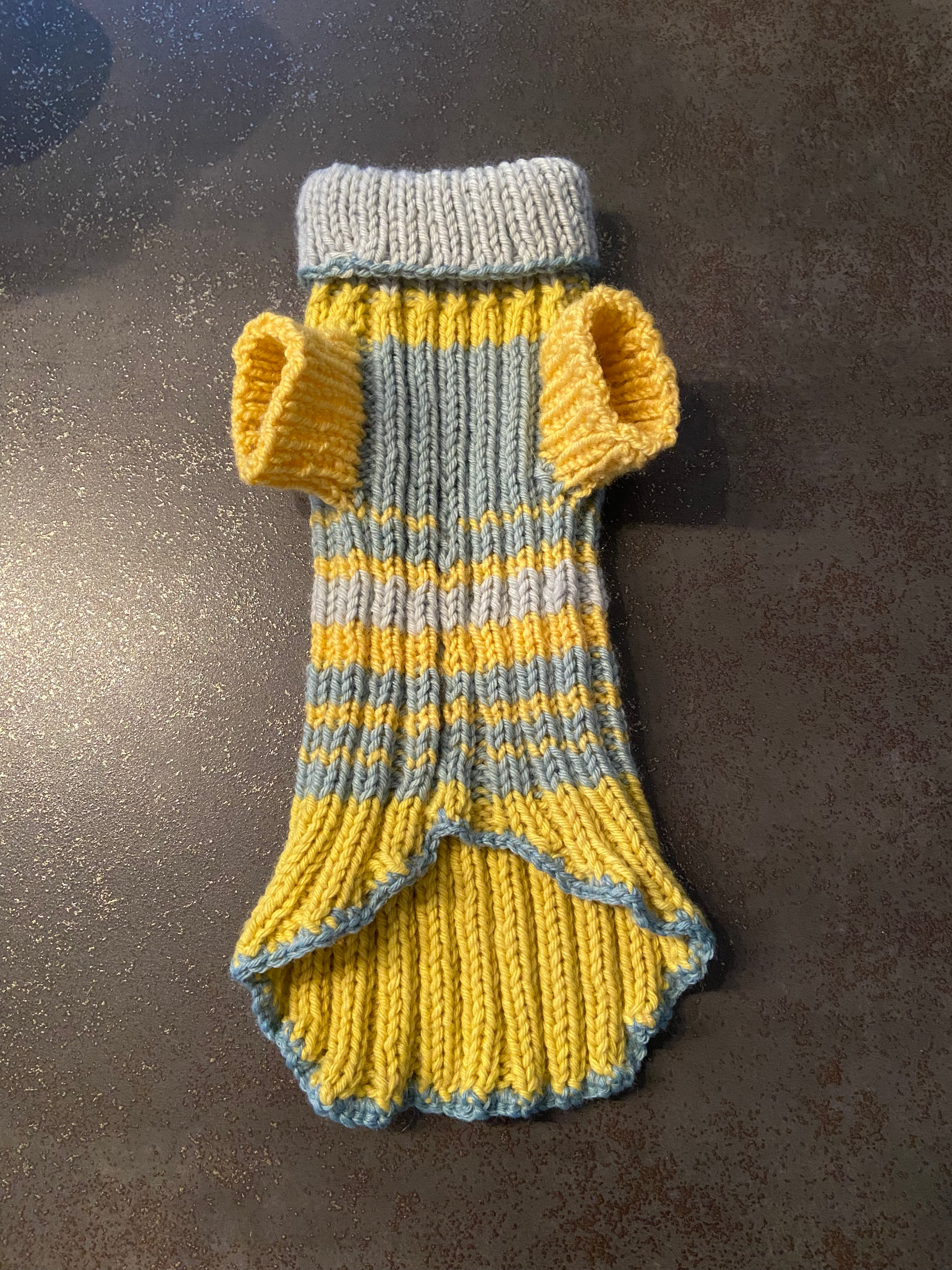 Pull pour petit Toutou