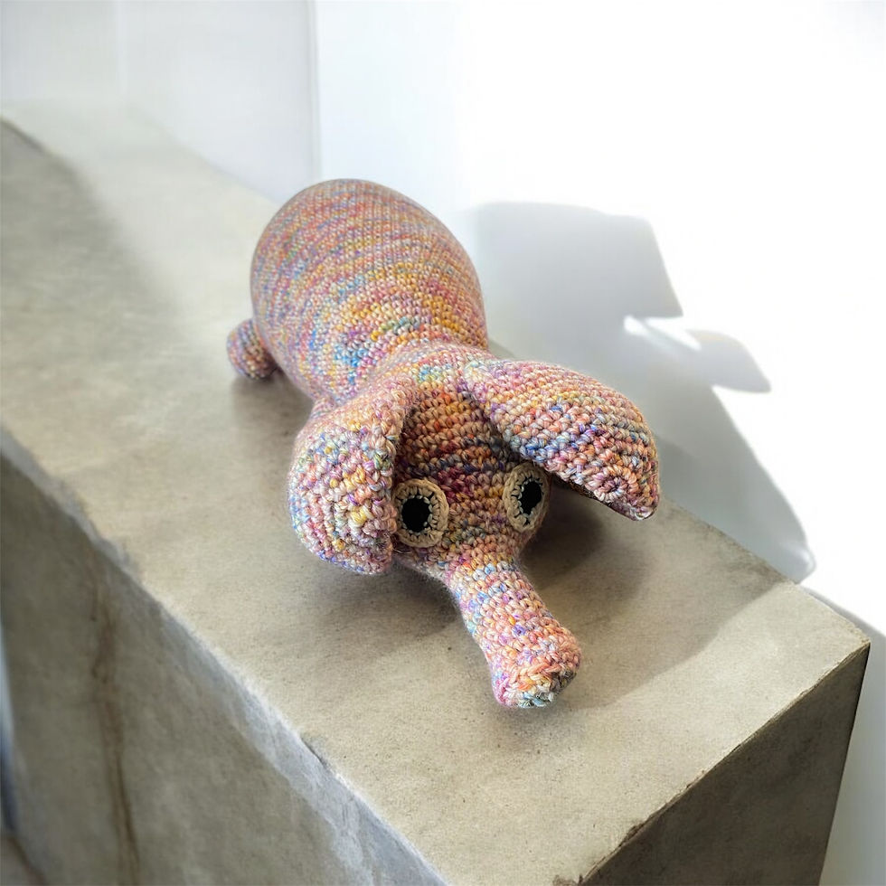 Zébulon le presque cochon