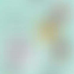 サマーコンサート