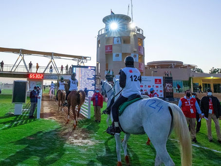 Dubai Crown Prince Endurance Cup - 119 km - 8 January 2022