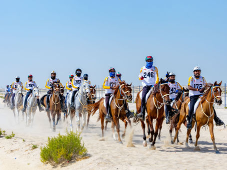 DIEC Qualifier -80 km -30 January 2024