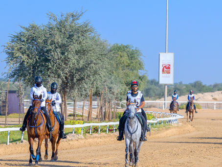 FEl Endurance Qualifier-CEI1*101 km -12 December 2022