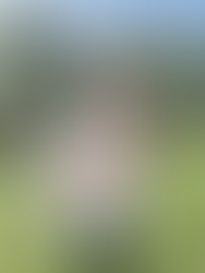 west coast floral preservation arizona bridal bouquet floral preservation pressed flower art in arizona pressed flower art las vegas wedding planner las vegas wedding vendors wedding chapels in las vegas