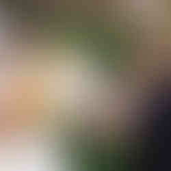 Green valley ranch resort wedding planner wedding at green valley ranch resort garden wedding venue in vegas garden wedding venue in las vegas best wedding venue off the strip las vegas wedding planner and designer full-service wedding planner in vegas full service wedding planner best wedding planner in vegas top wedding planner in vegas las vegas wedding planner luxury wedding planner in vegas how much does a wedding planner in vegas cost average cost for a las vegas wedding planner las vegas wedding venue for 100 people destination wedding venue las vegas las vegas wedding venue with on-site lodging green valley ranch wedding same sex wedding planner pride wedding lgbtq wedding rainbow wedding nontraditional wedding planner lgbtq wedding planner in vegas hockey wedding detail colorful wedding design two brides wedding venue