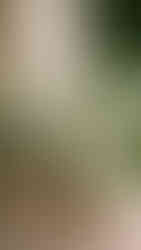 las vegas wedding planner luxury wedding planner luxury wedding planner in vegas lasa vegas luxury wedding planner best wedding planner in las vegas how to plan and design a wedding las vegas wedding designer las vegas wedding venues jw marriott las vegas wedding planner luxury wedding black and white wedding bridesmaids in brown bridesmaid dress elegant wedding design timeless wedding design nontraditional wedding planner best wedding planner for nontraditional couples full-service wedding planner luxury full-service wedding planner in vegas destination wedding full-service destination wedding planner full-service wedding las vegas luxury full-service wedding planner hiring the best wedding planner in las vegas party planner las vegas party planner in vegas timeless wedding design wedding planner and designer wedding designer las vegas luxury wedding designer las vegas luxury event planner luxury event planner las vegas luxury event planner