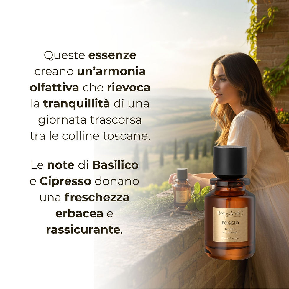 Miniaturbild: Momenti di Toscana - Poccio - Basilico e Cipresso -  Eau de Parfum (50 ml)