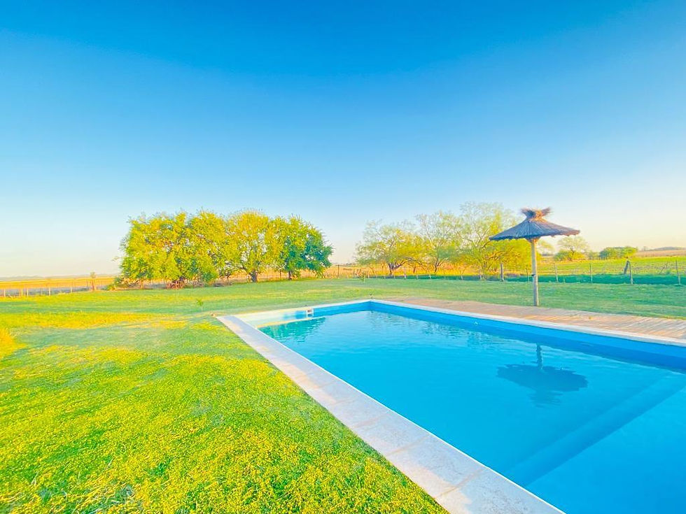 Miniatura: Chacra de 4 has 📍 Carmen de Areco.